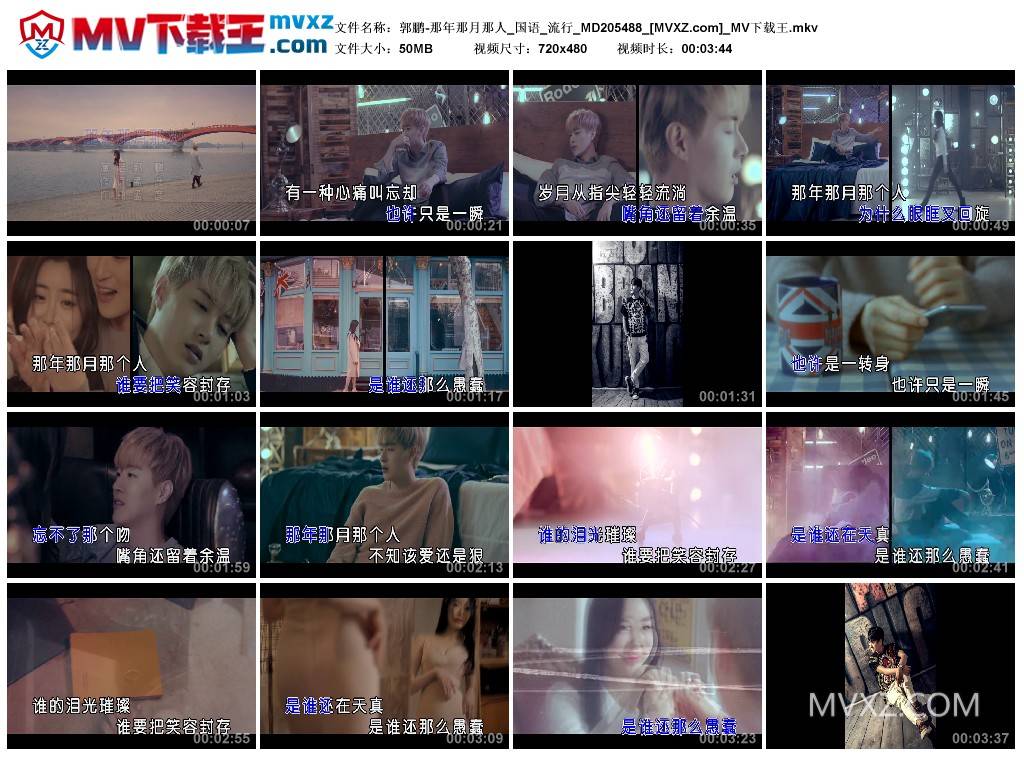 郭鹏-那年那月那人_国语_流行_MD205488